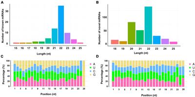 Profiling of MicroRNAs in Midguts of Plutella xylostella Provides Novel Insights Into the Bacillus thuringiensis Resistance